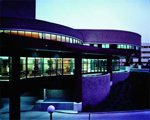 卵泡排出后在体内可以存活多久？